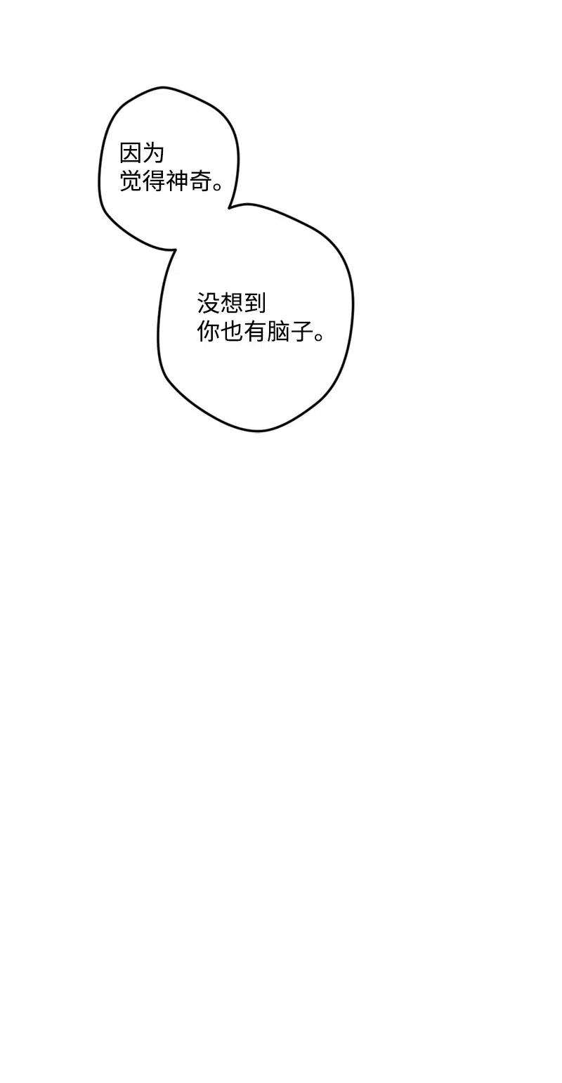 穿越成炮灰的我绝不认输20 妙计