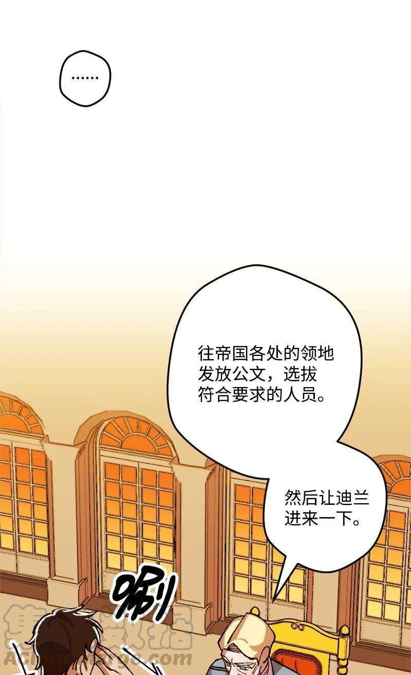 穿越成炮灰的我绝不认输20 妙计