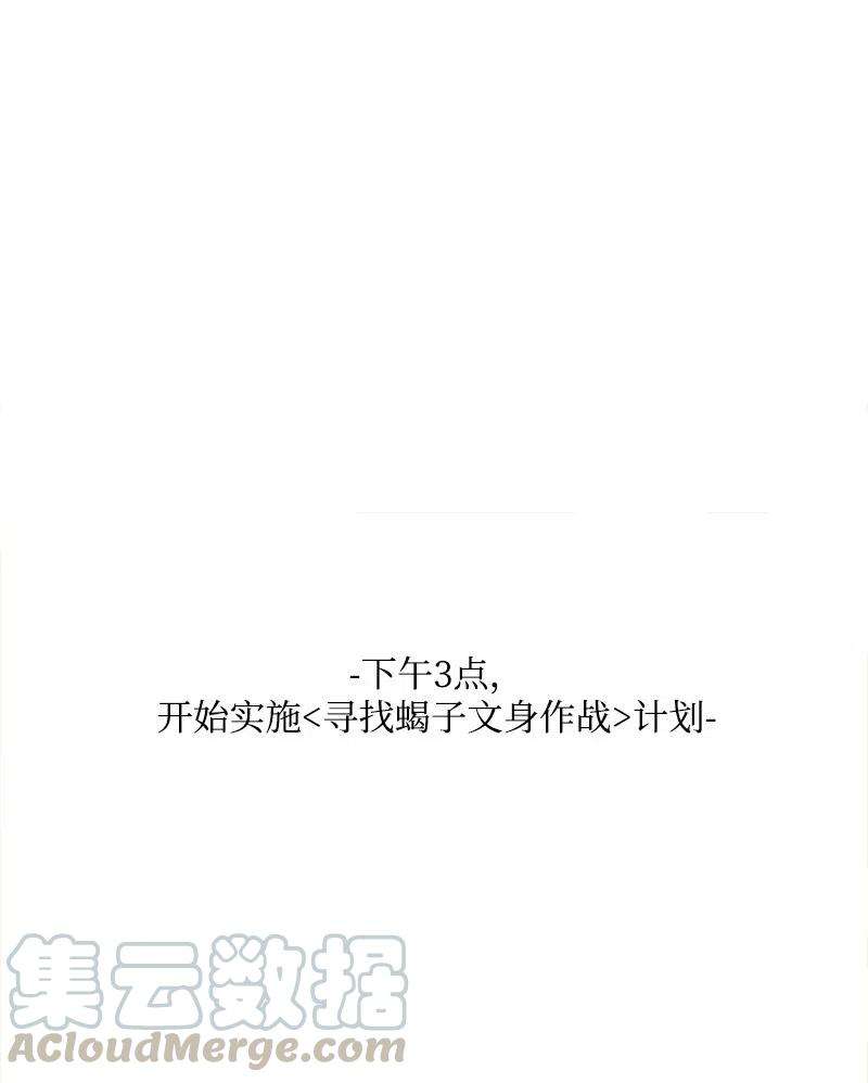 穿越成炮灰的我绝不认输49 作战开始