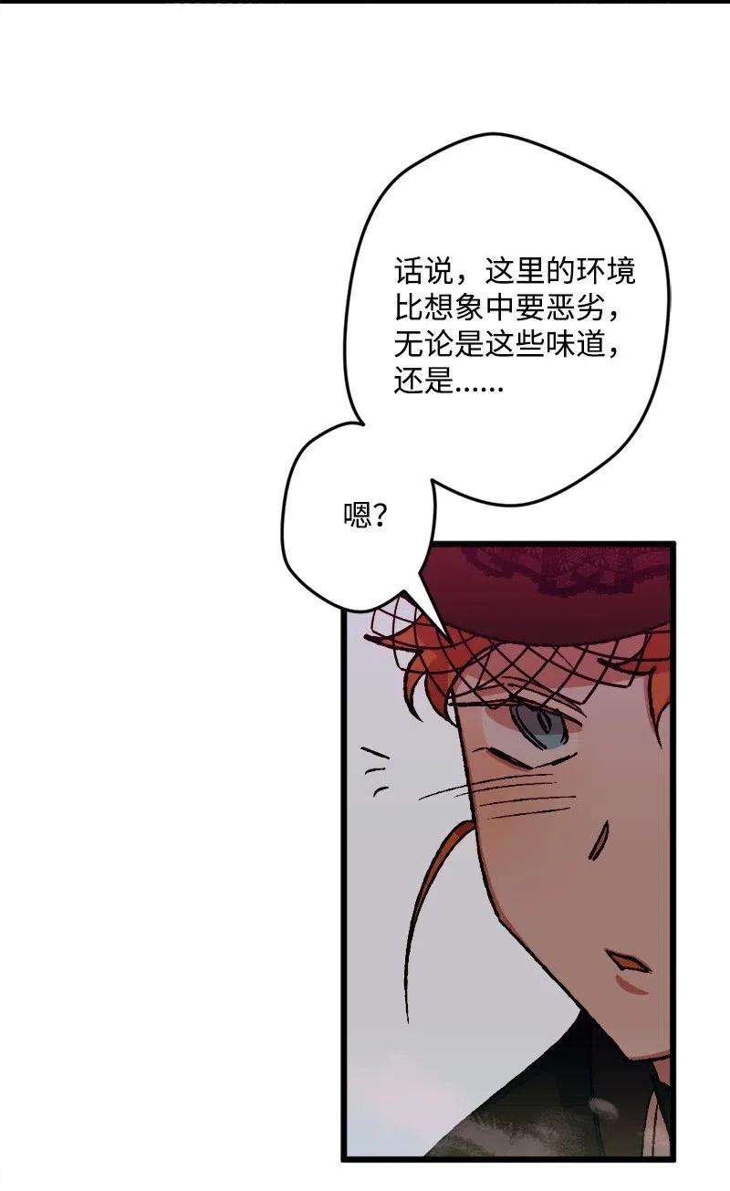 穿越成炮灰的我绝不认输49 作战开始