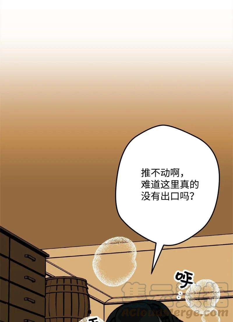 穿越成炮灰的我绝不认输52 账簿