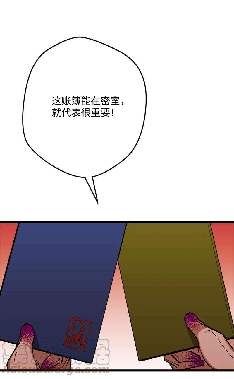 穿越成炮灰的我绝不认输52 账簿