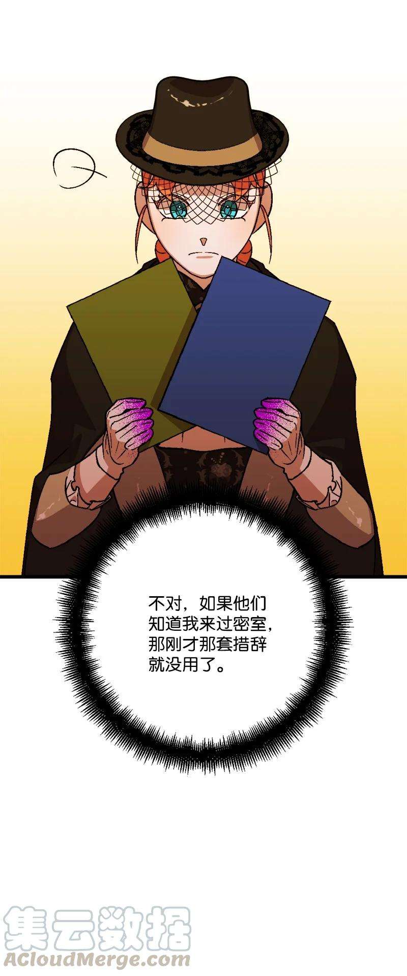 穿越成炮灰的我绝不认输52 账簿