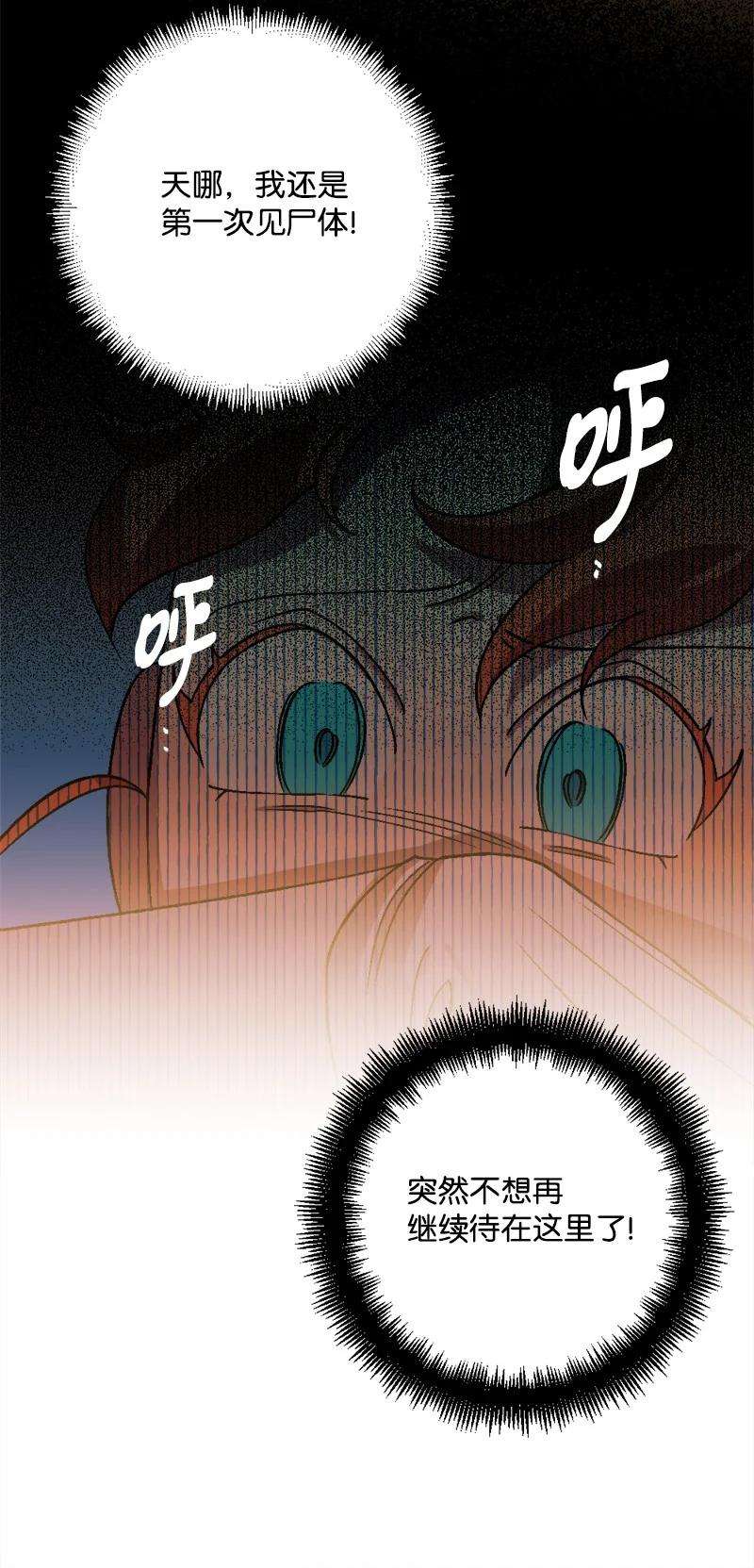 穿越成炮灰的我绝不认输52 账簿