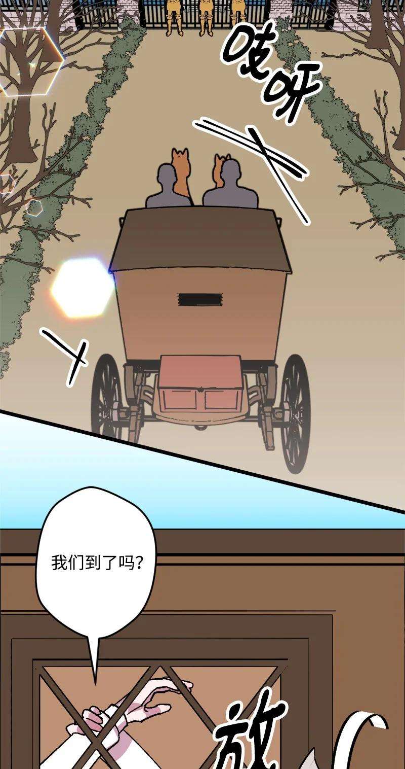 穿越成炮灰的我绝不认输62 东窗事发