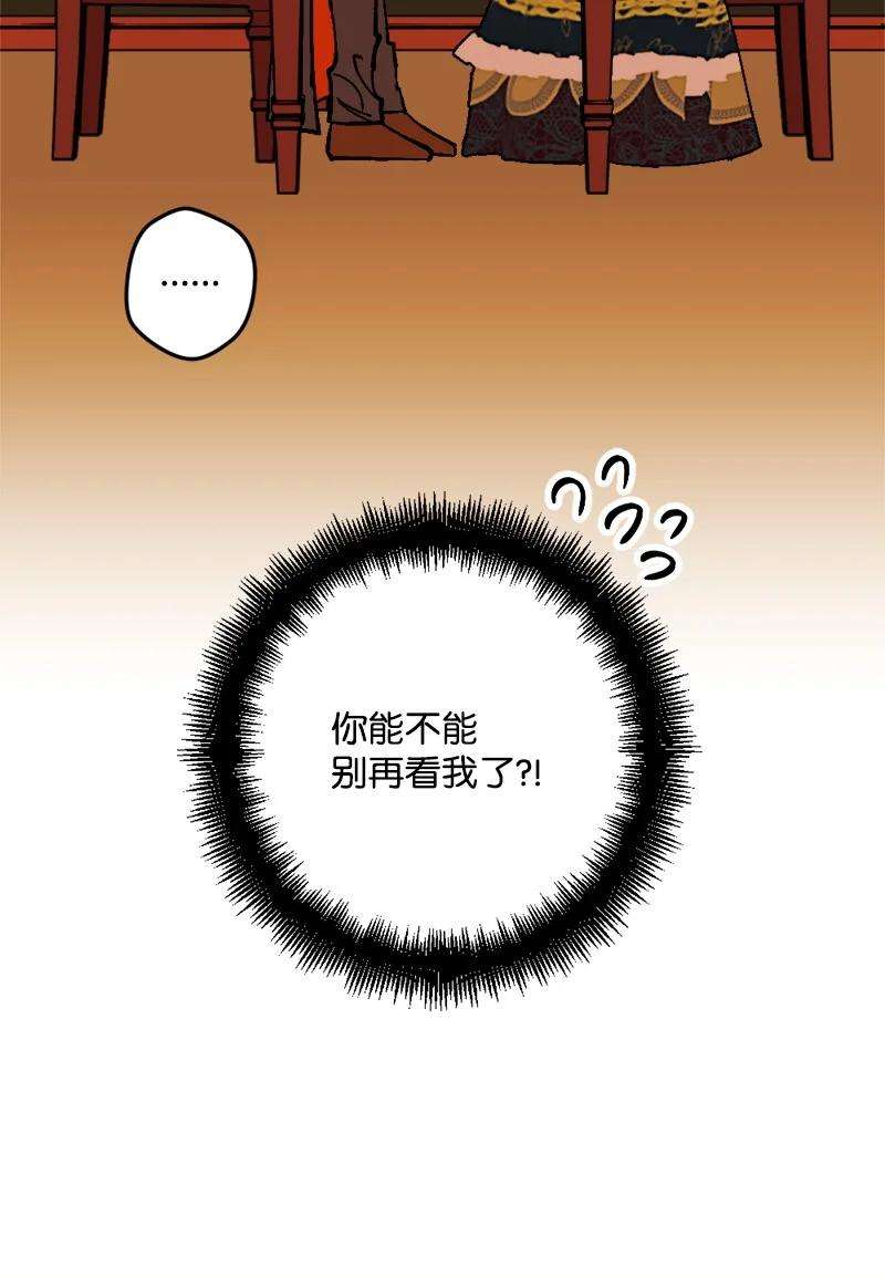 穿越成炮灰的我绝不认输68 解释