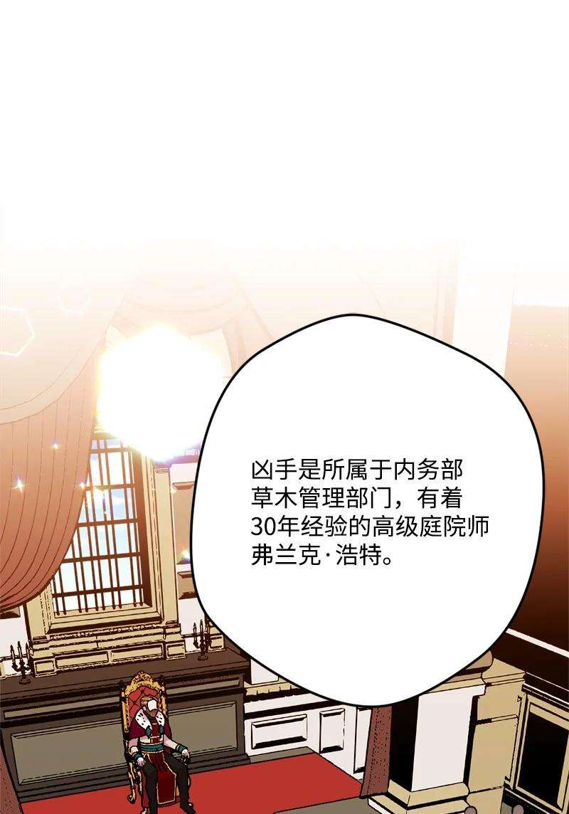 穿越成炮灰的我绝不认输75 证人出席