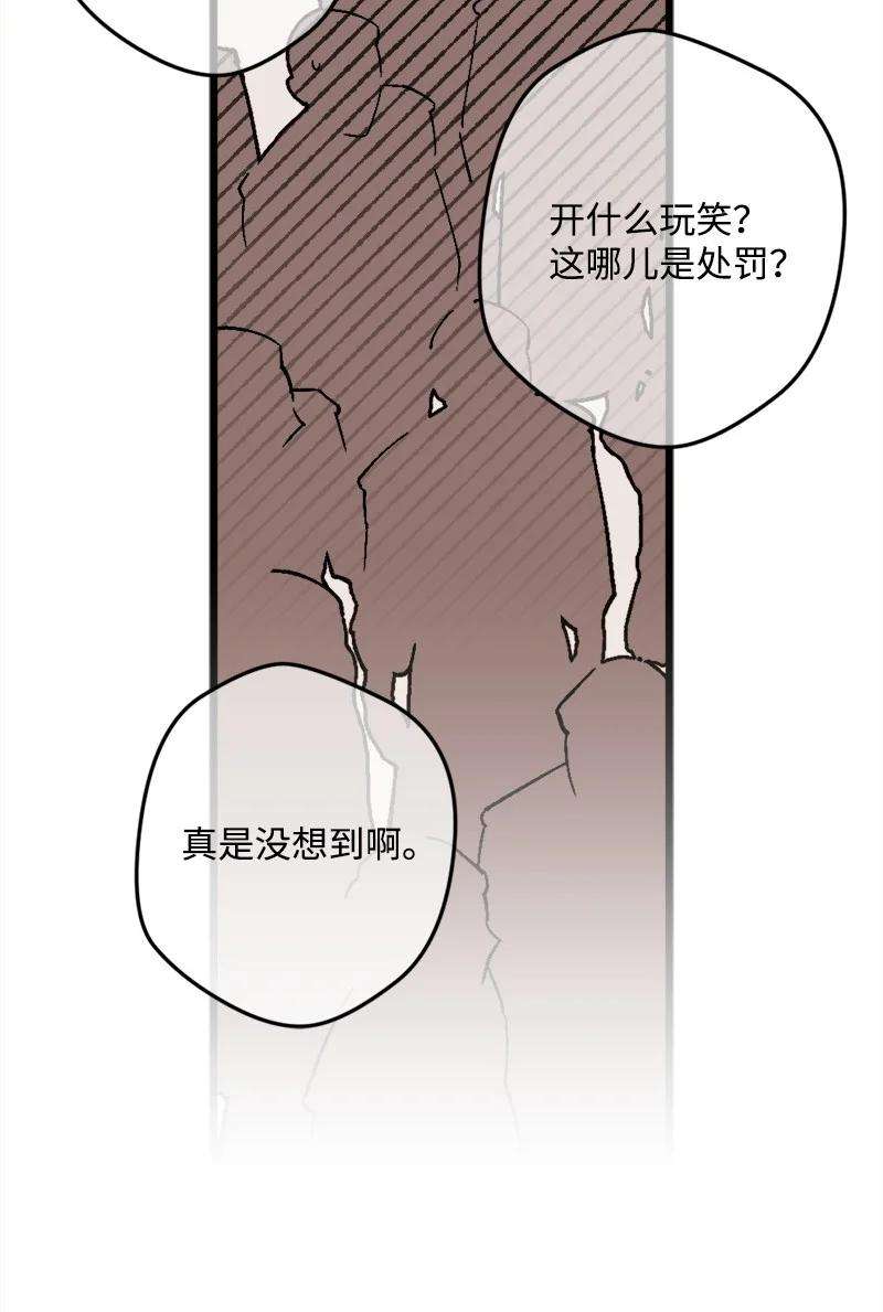 穿越成炮灰的我绝不认输77 圆满解决