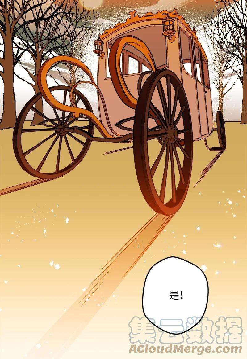 穿越成炮灰的我绝不认输78 奥斯利亚编年史