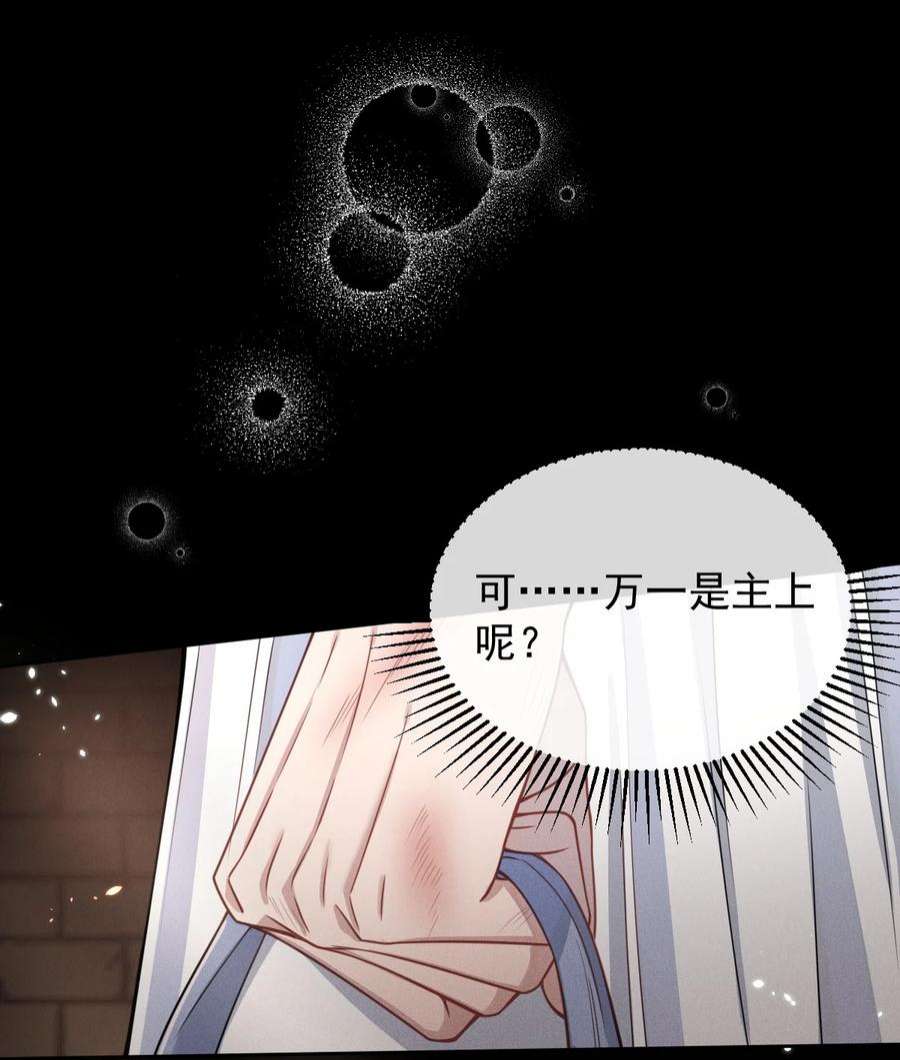 影卫难当008 真的是主上！