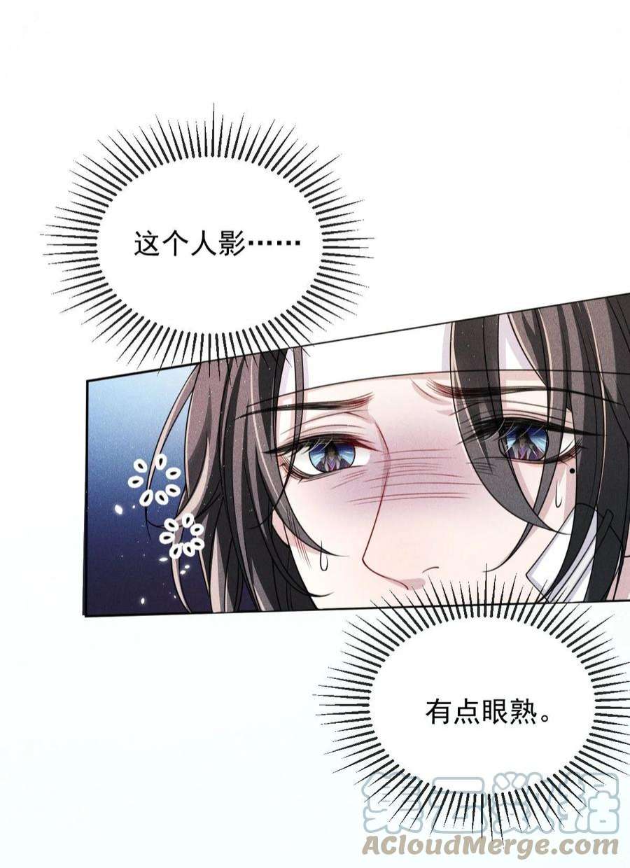 影卫难当012 真是魔怔了！