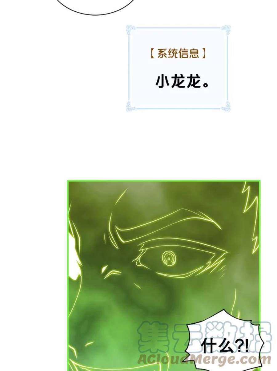 天才玩家30.小龙龙