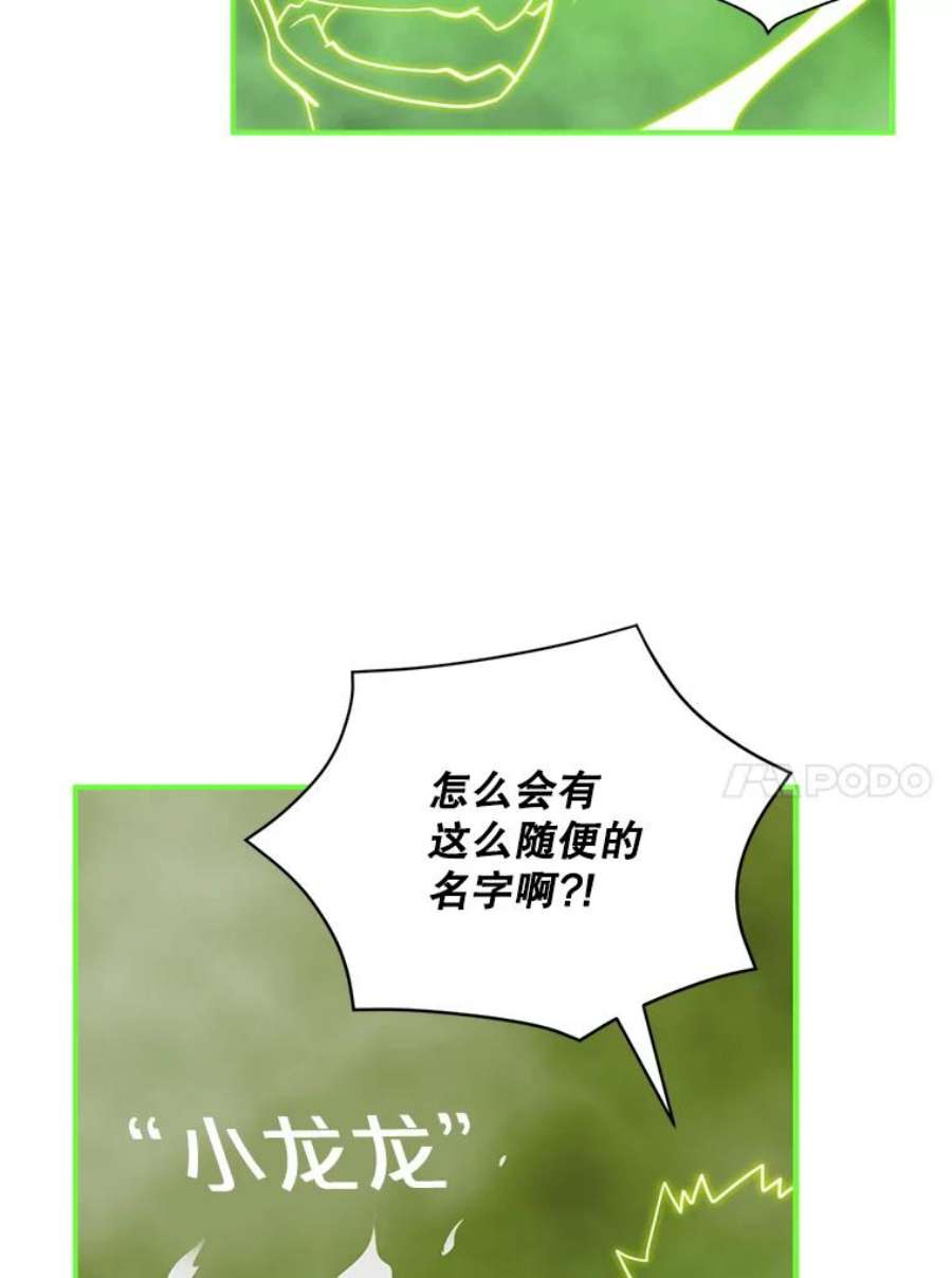 天才玩家30.小龙龙