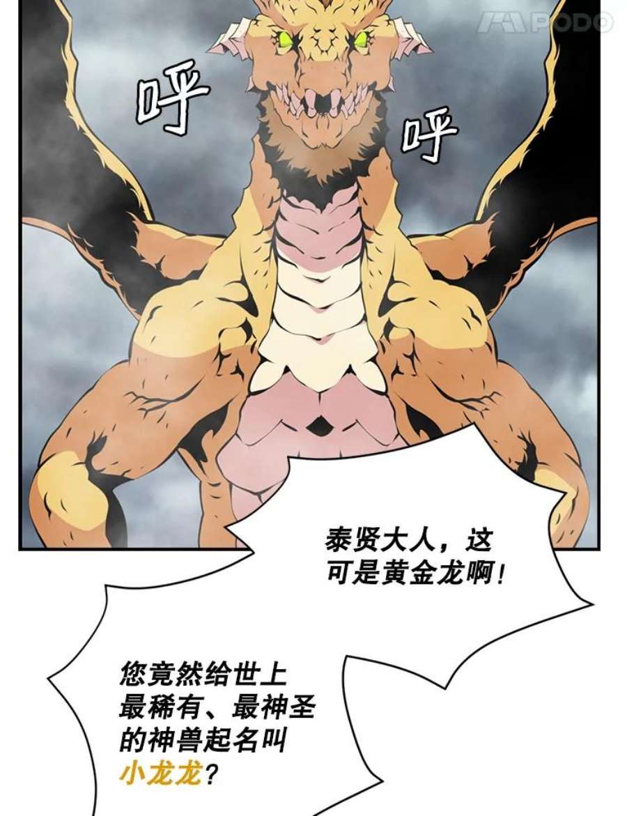 天才玩家30.小龙龙