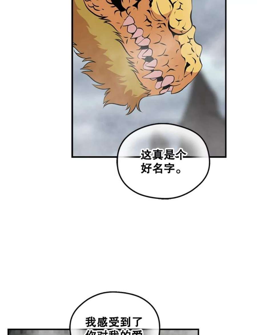 天才玩家30.小龙龙