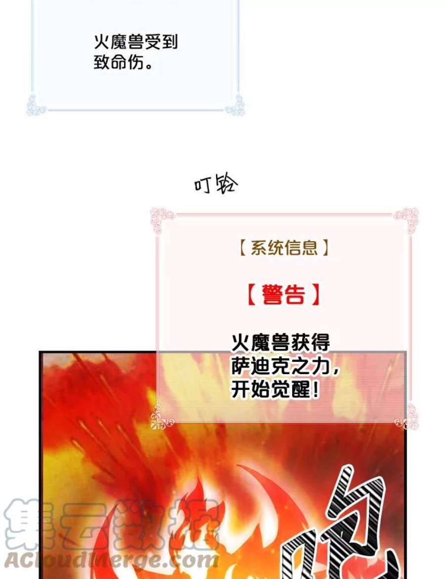 天才玩家55.火魔兽（二）
