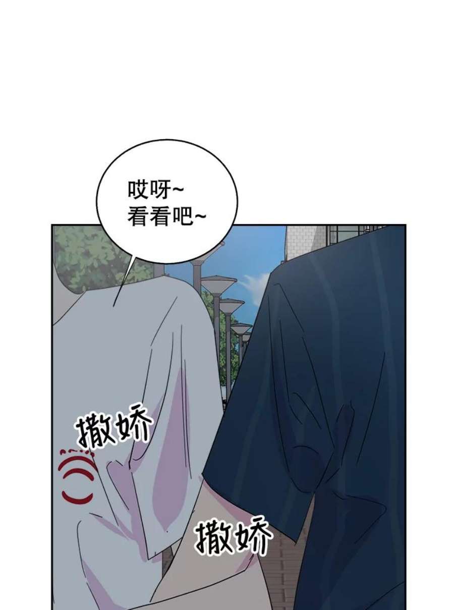 关系准则39.单恋专家