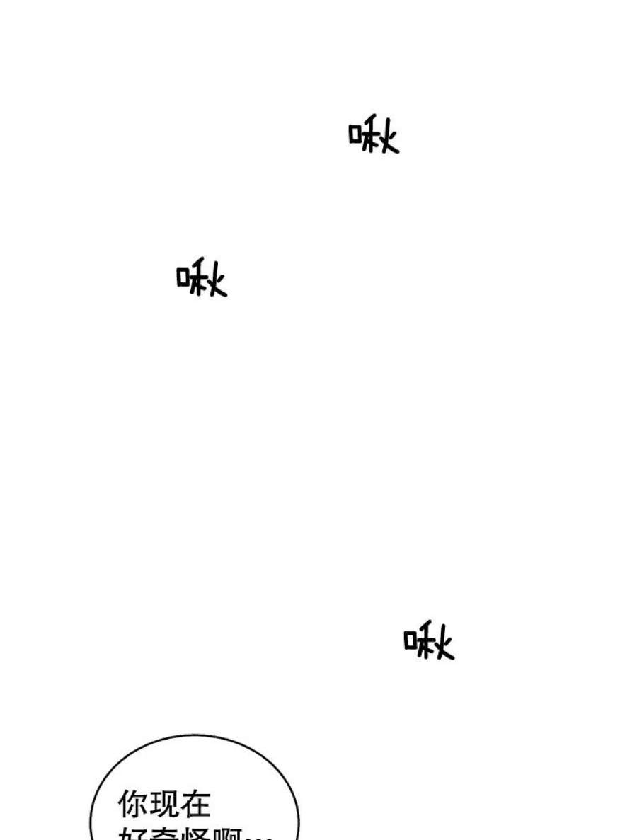 关系准则39.单恋专家