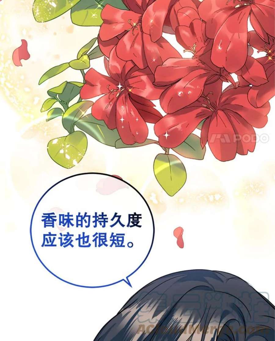 成为他唯一的调香师11.舞会（2）