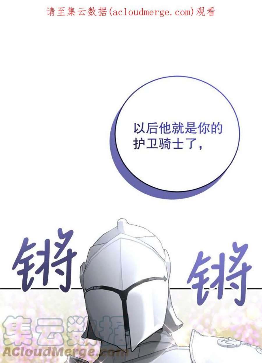 成为他唯一的调香师14.护卫骑士