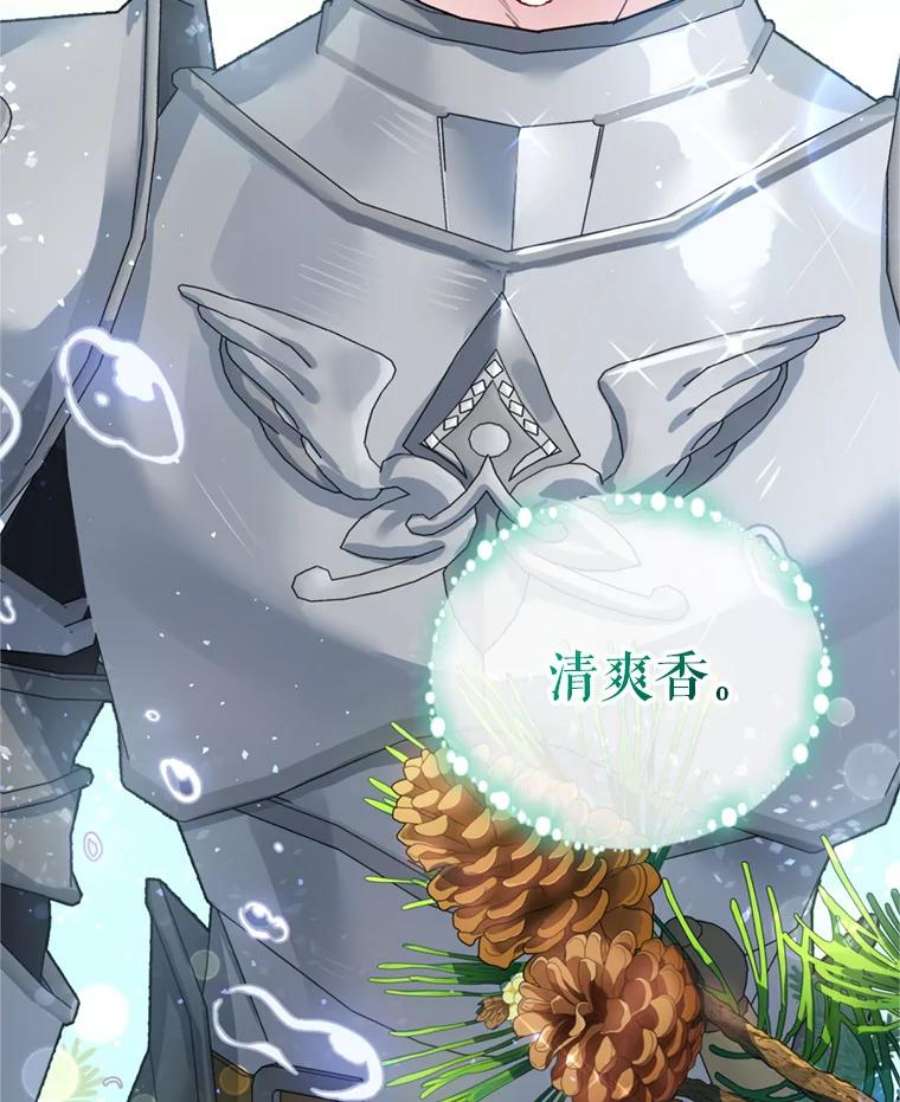 成为他唯一的调香师14.护卫骑士