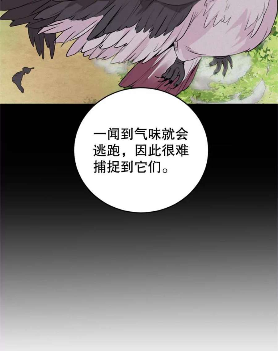 成为他唯一的调香师23.寻找斯凯伦（1）