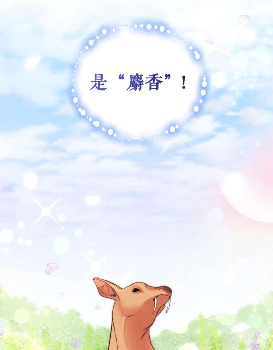 成为他唯一的调香师24.寻找斯凯伦（2）