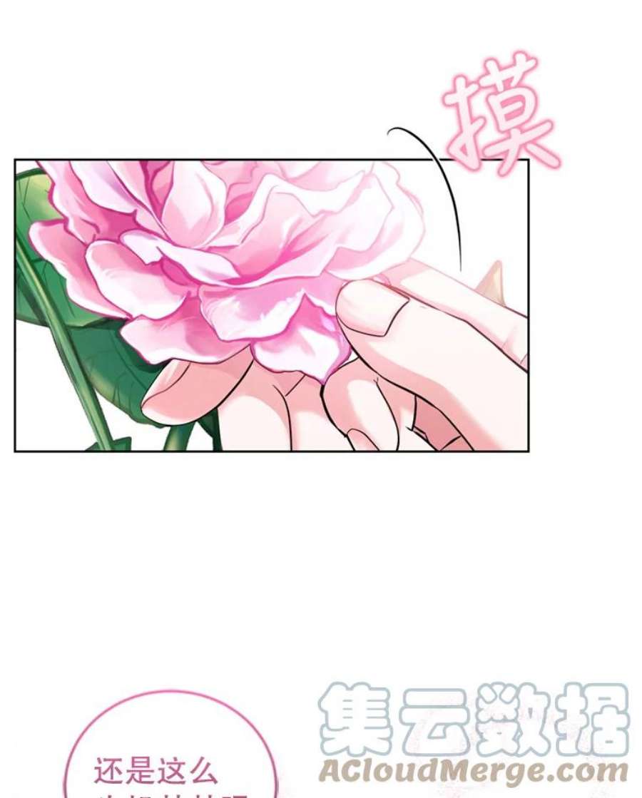 成为他唯一的调香师31.雷尔利乌斯