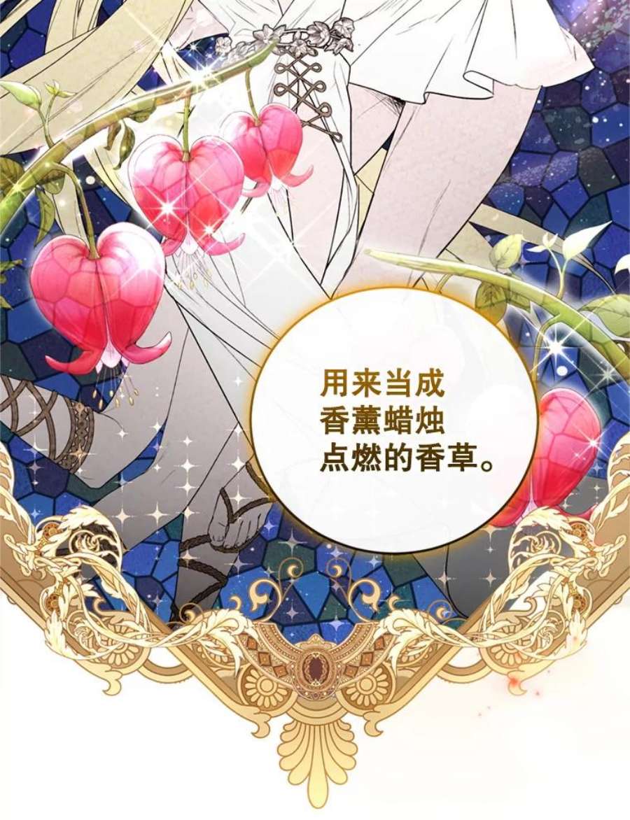 成为他唯一的调香师31.雷尔利乌斯