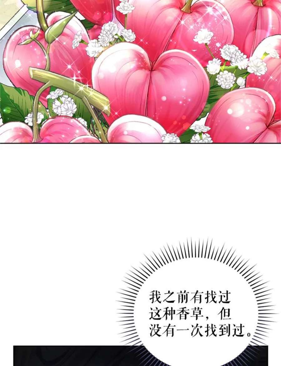 成为他唯一的调香师31.雷尔利乌斯