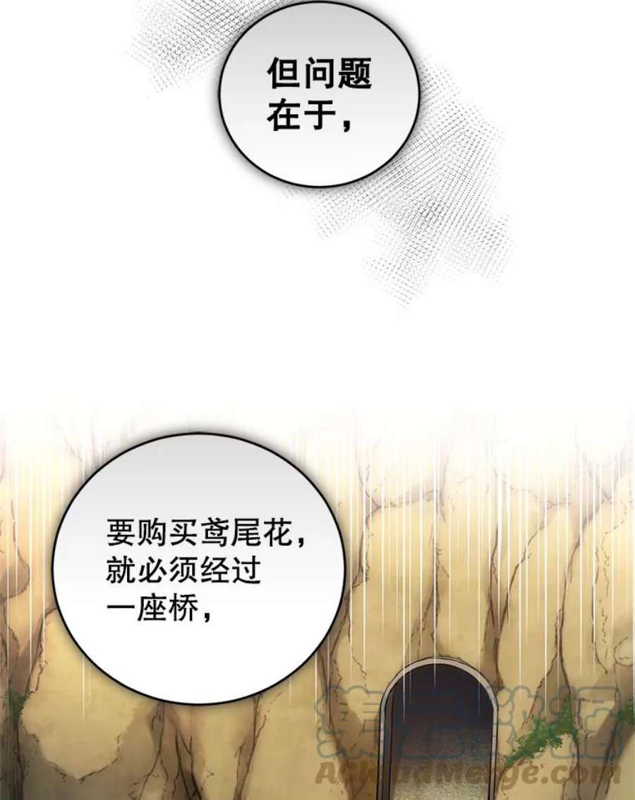 成为他唯一的调香师46.鸢尾花染料