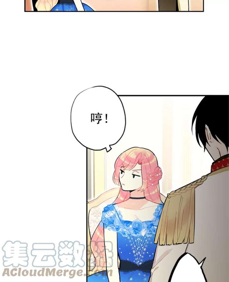 恶女保命计划9.舞会