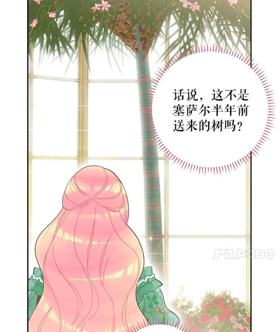 恶女保命计划14.狩猎