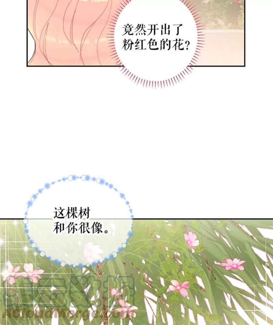 恶女保命计划14.狩猎