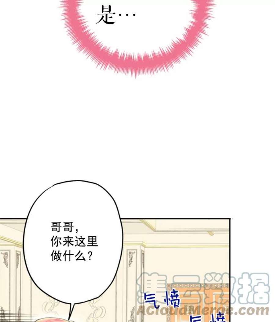 恶女保命计划31.无理取闹的哥哥