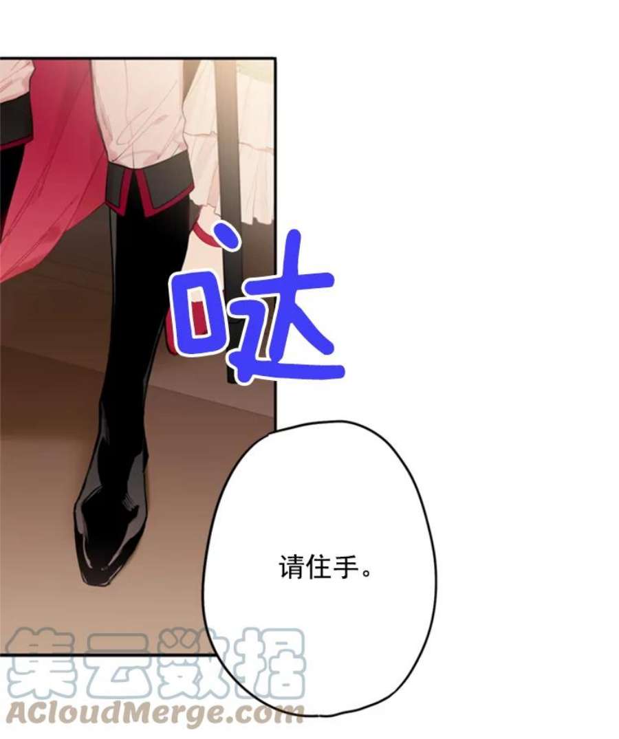 恶女保命计划31.无理取闹的哥哥