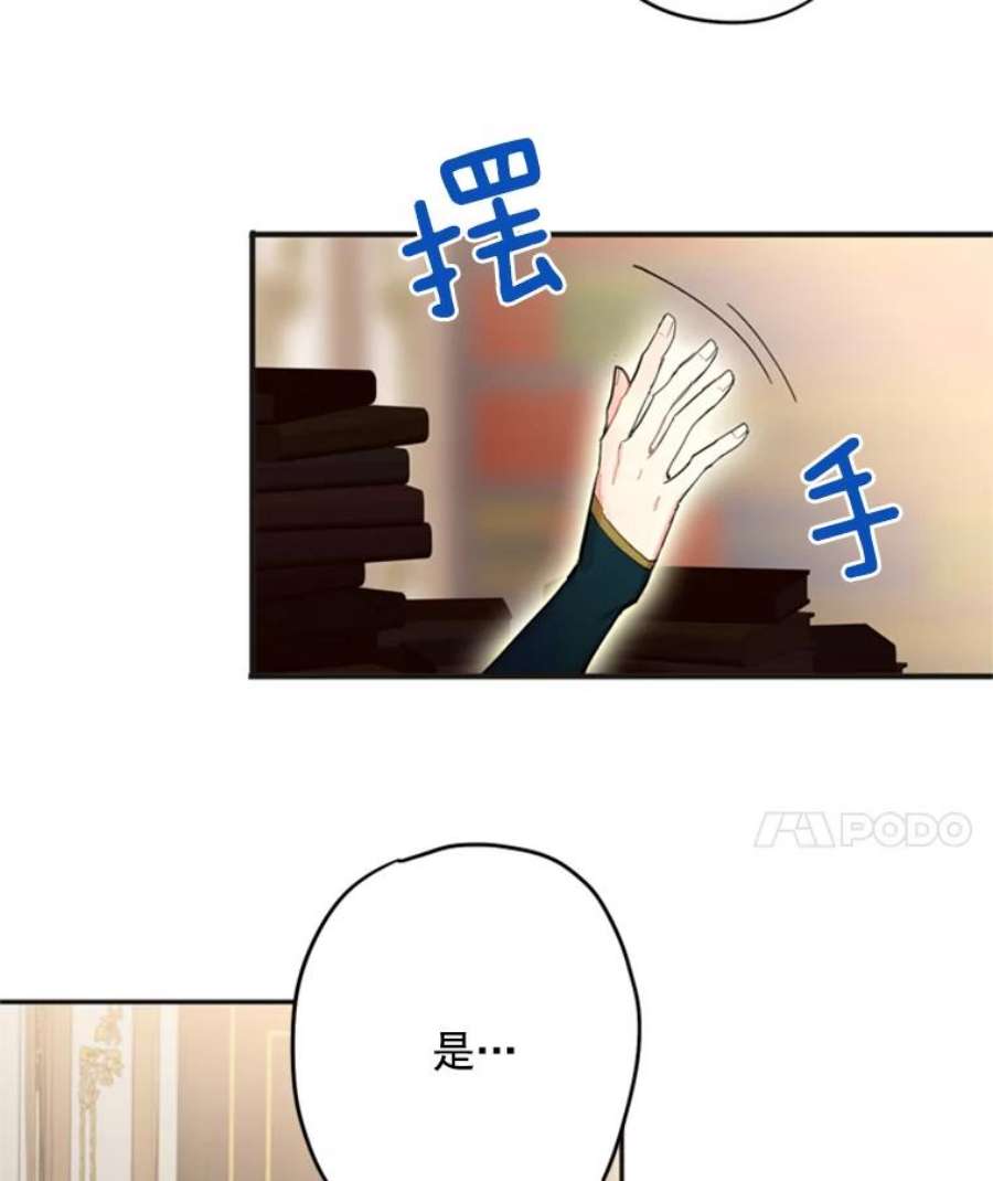 恶女保命计划32.奇怪的文字