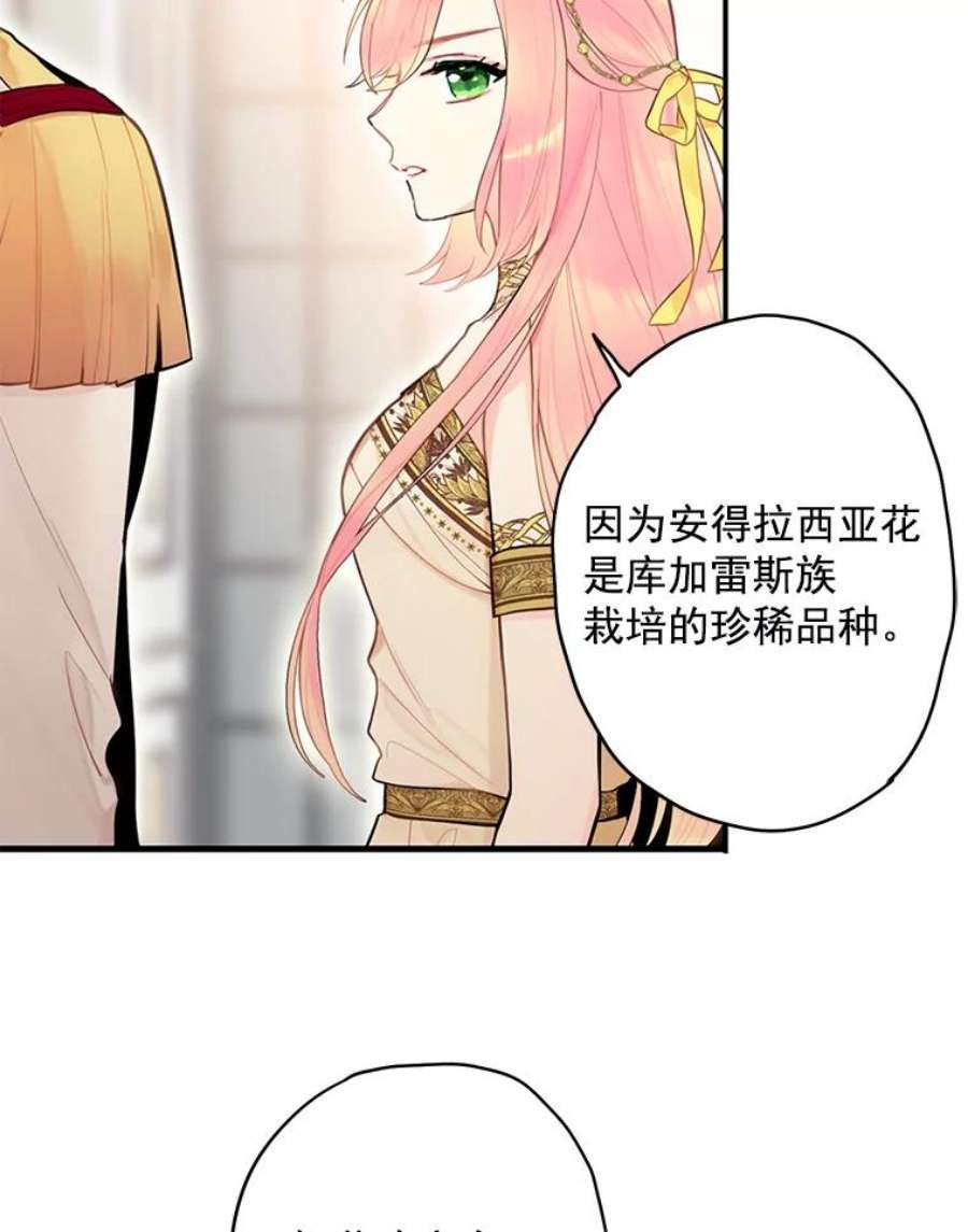 恶女保命计划47.寻找解药
