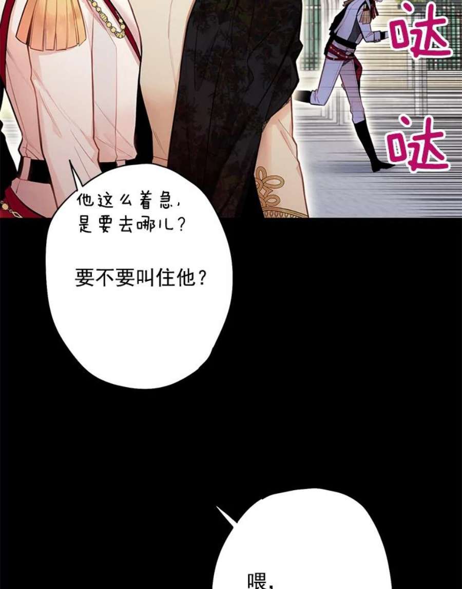 恶女保命计划59.布林吉克