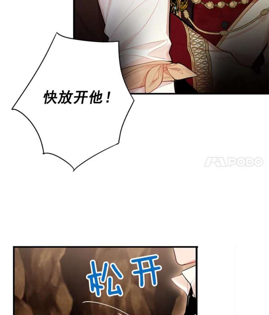 恶女保命计划59.布林吉克
