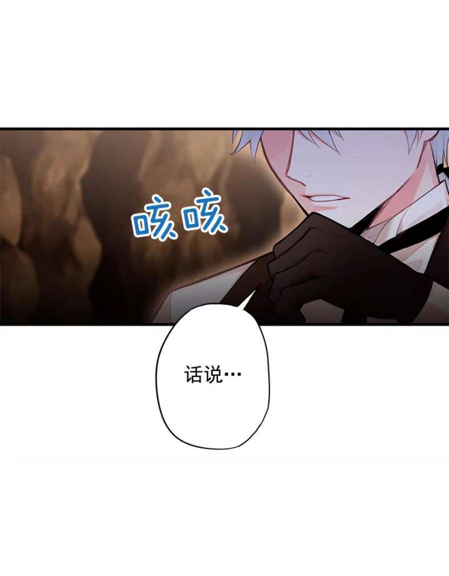 恶女保命计划59.布林吉克