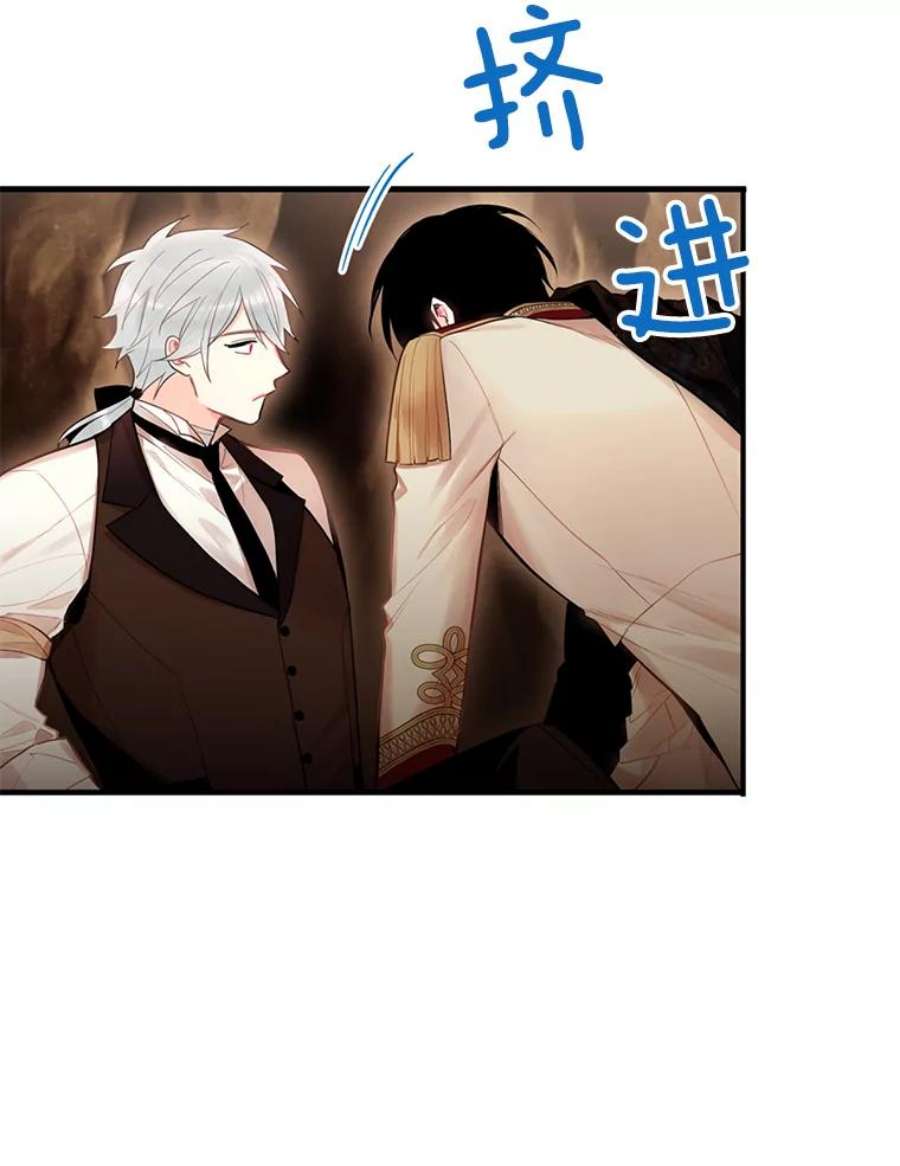 恶女保命计划59.布林吉克