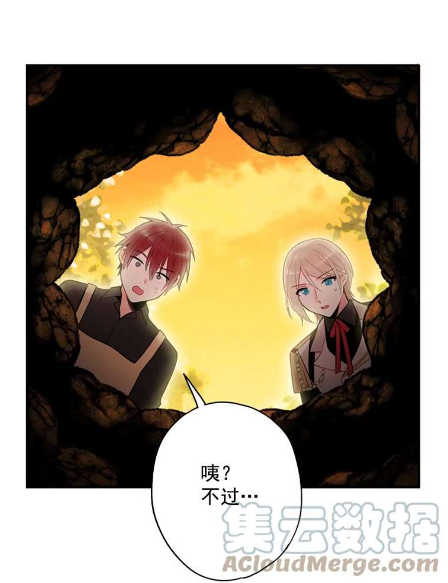 恶女保命计划59.布林吉克