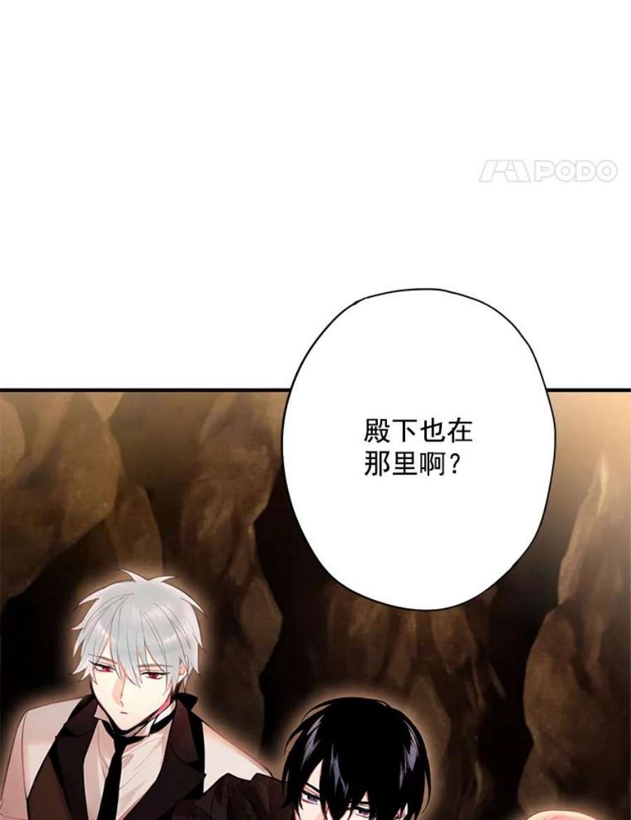 恶女保命计划59.布林吉克