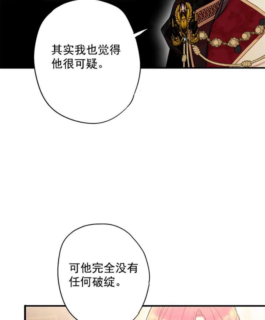 恶女保命计划59.布林吉克