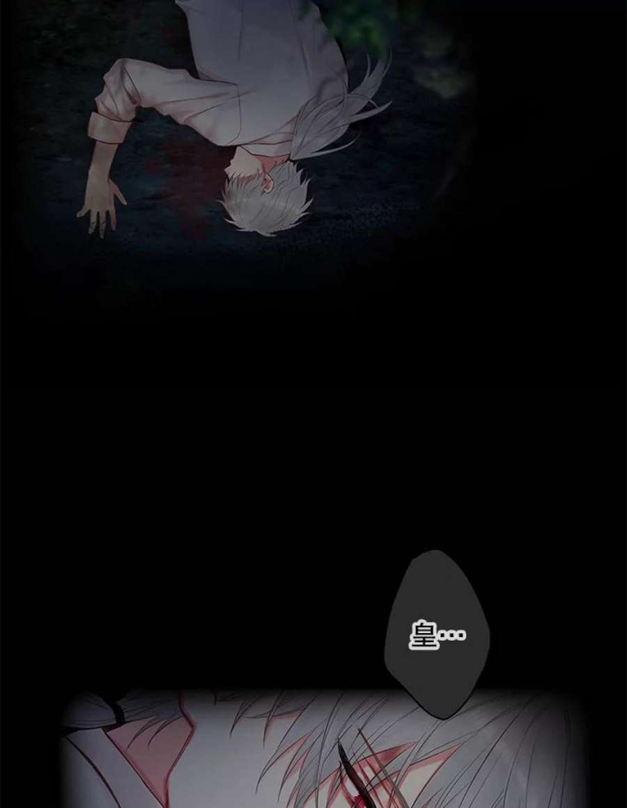 恶女保命计划108.毒箭