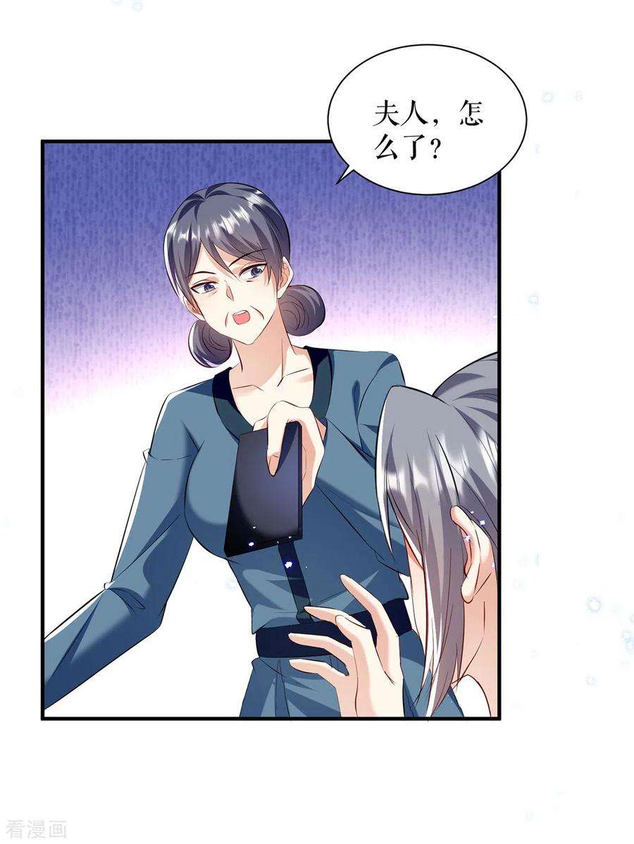 天才酷宝233话 向少的追求