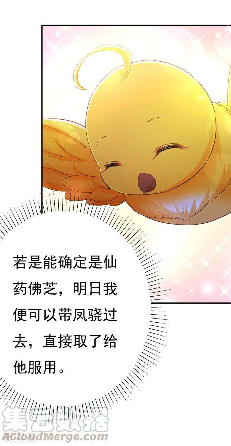 我在后宫当大佬49话 一个不留