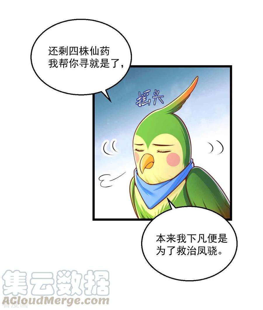 我在后宫当大佬97话 云眠的心思