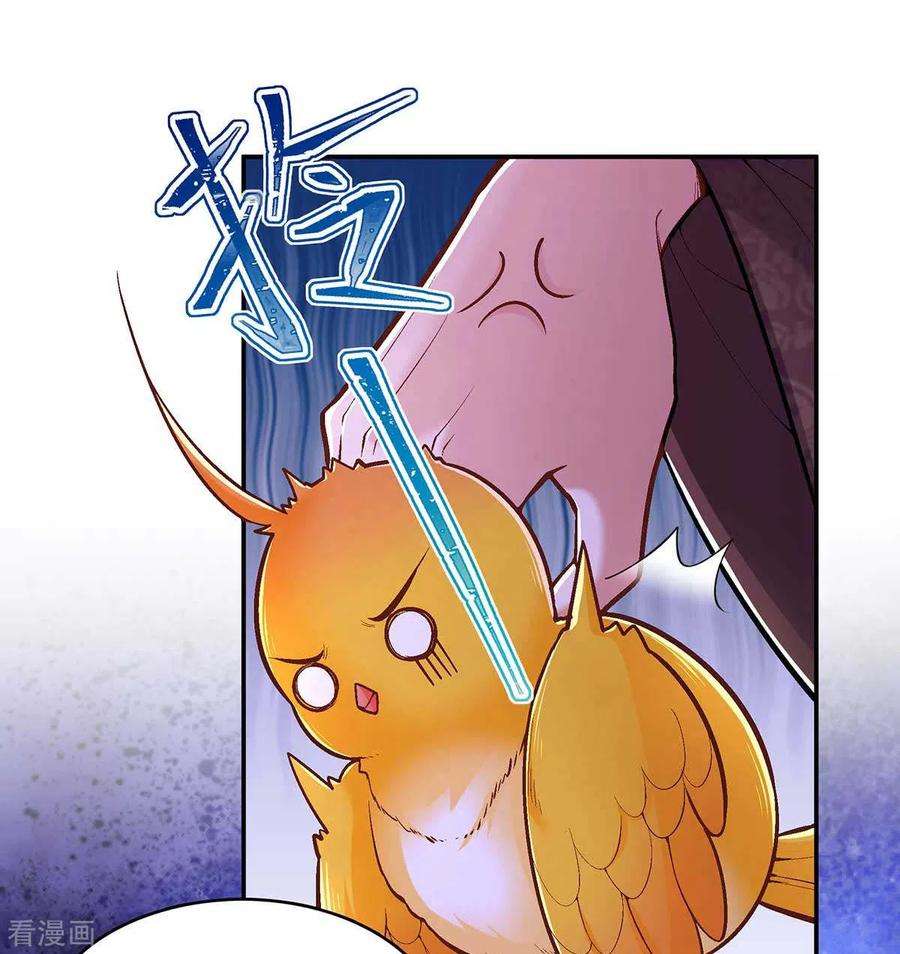 我在后宫当大佬99话 关进笼子